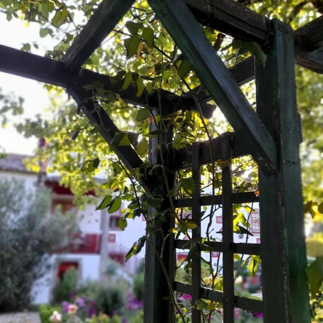 Quinta da Maínha Solar ALojamento local com piscina privada em Braga Exterior foto