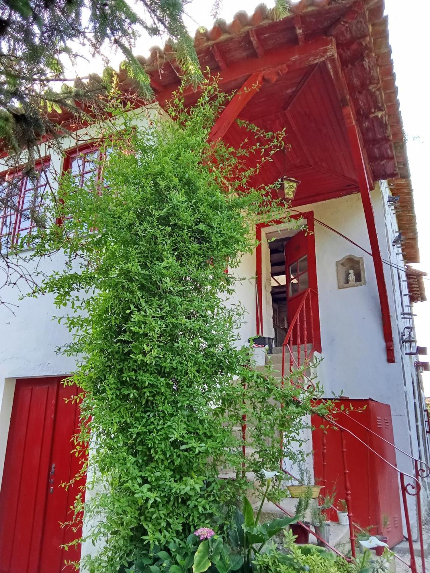 Quinta da Maínha Solar ALojamento local com piscina privada em Braga Exterior foto